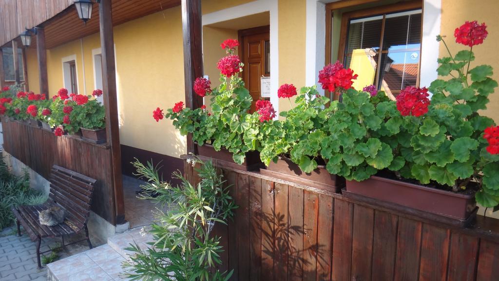 Apartmany Kanianka Bojnice Bilik gambar