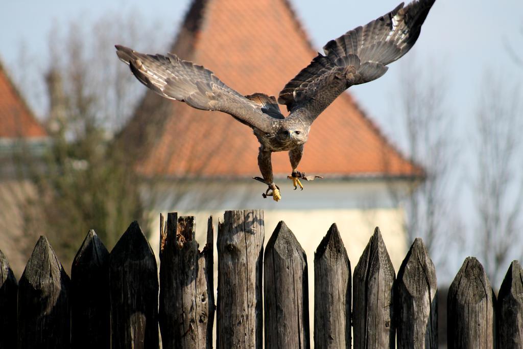 Apartmany Kanianka Bojnice Luaran gambar
